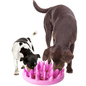 KFX-1667901 Interactive Non-Slip Cat and Dog Slow Feeder Bowl - Anti-Choking Puzzle Design in Green and Purple