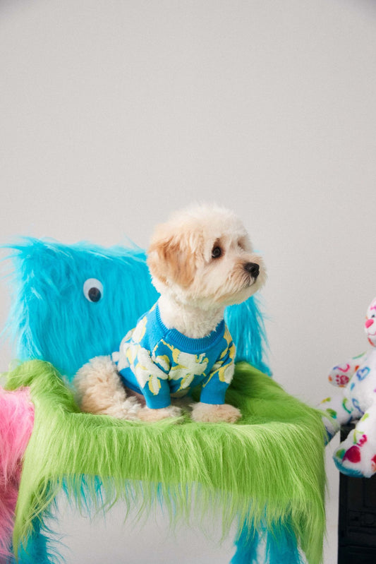 KFX-1685693 Teddy Bear Style Wool Pet Sweater for Dogs and Cats - Warm Winter Wear, Blue, Sizes S to XXL