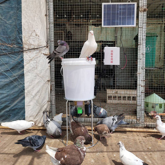 KFX-1697213 Solar-Powered Automatic Chicken and Duck Feeder with Timer and Watertight Design