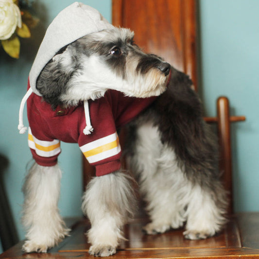 KFX-1705533 Leisure Cotton Hoodie for Dogs in Japanese and Korean Style