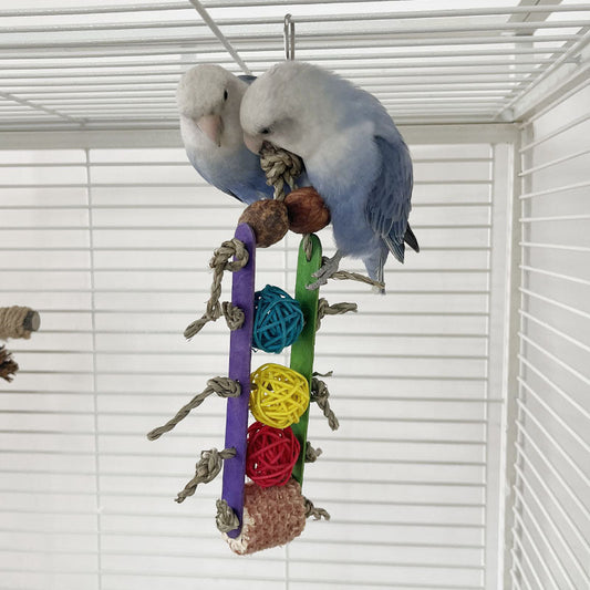 KFX-1707581 Corn Cob and Wood Parrot Bite Toy with Colorful Sequins and Vines