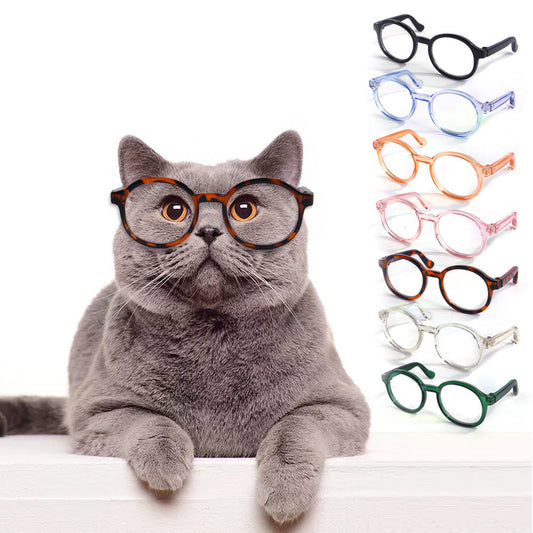 KFX-1799101 Stylish Plastic Transparent Cat Glasses in Multiple Colors