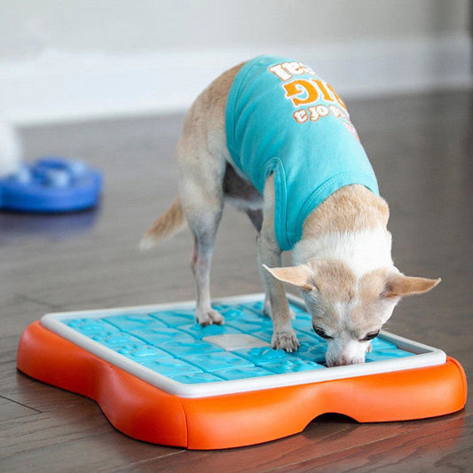 KFX-1808061 Interactive Hidden Food Puzzle Toy for Dogs - 38x38cm Plastic Design
