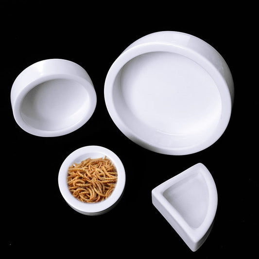 KFX-1809085 Ceramic Reptile Feeding Bowl with Smooth Curved Design for Tortoises, Lizards, and Snakes