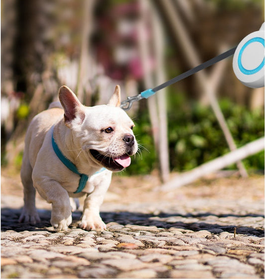 KFX-1834045 Portable Automatic Retractable Pet Leash - Durable 304 Stainless Steel & ABS Design in Blue