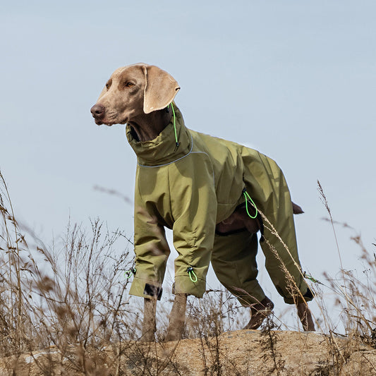 KFX-1851197 Windproof Turtleneck Jacket for Large Dogs - Keep Warm in Style, Available in Turmeric and Army Green