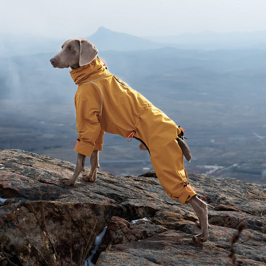 KFX-1851197 Windproof Turtleneck Jacket for Large Dogs - Keep Warm in Style, Available in Turmeric and Army Green