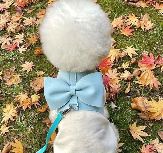 KFX-1872061 Handmade Pet Fleece Bow Chest Strap Lead Rope in Light Blue and Light Pink