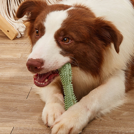 KFX-1909949 Durable TPR Chew Toy for Dog Teeth Cleaning and Anxiety Relief