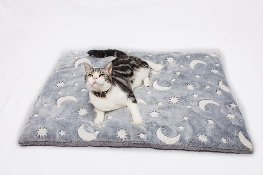 KFX-1945917 Luminous Flannel Pet Cushion Mat in Gray - Sizes S, M, L Available