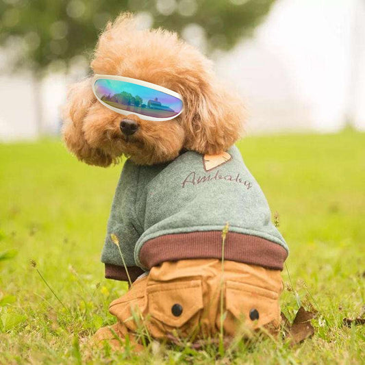 KFX-1962941 Pet UV Protection Goggles for Small Dogs and Cats - Lightweight and Durable Plastic Design