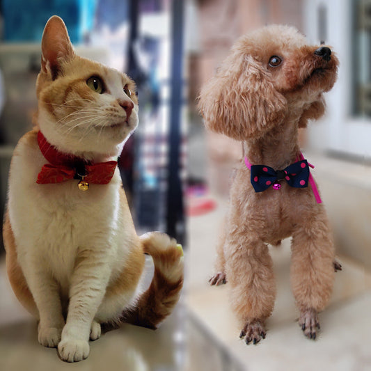 KFX-1969085 Adjustable Polyester Dog and Cat Bow Tie with Copper Bell