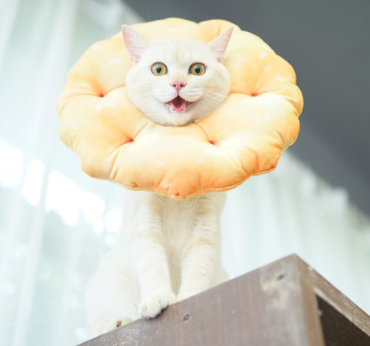 KFX-1974461 Cotton Polyester Anti-Lick Ring for Dogs - XS and S Sizes Available