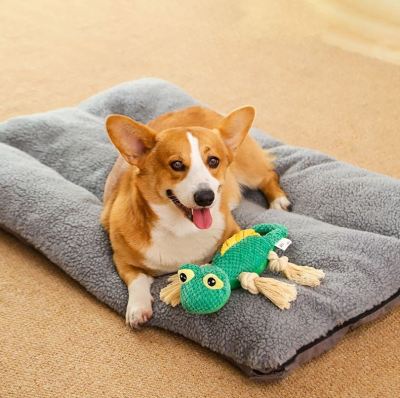 KFX-1983421 Lizard Plush Dog Toy - Bite-Resistant Molar Training Tool for Puppies and Small Dogs