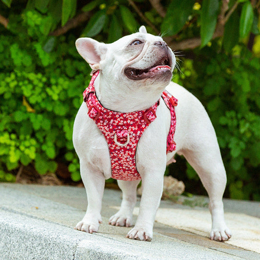 KFX-2003133 Fashionable Pet Chest Strap in Floral Red and Floral Basket Designs - Pure Cotton, Pull-Resistant, Multiple Sizes Available