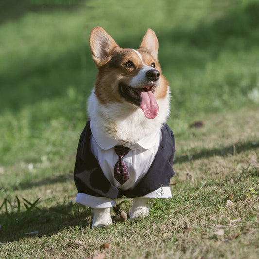KFX-2007997 Navy Blue Pet Suit Dog Dress Tuxedo with Fake Two-Piece Design - Available in Multiple Sizes