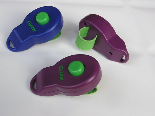 KFX-2021949 Pet Training Rattle Stick - Purple and Blue Options