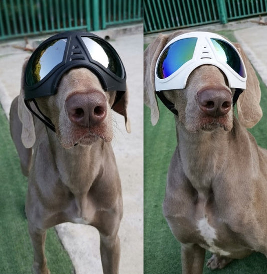 KFX-2061245 Comfortable Waterproof Pet Goggles for Large Dogs – Soft Frame Dog Sunglasses for Eye Protection