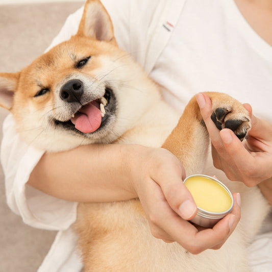KFX-2061501 Moisturizing Pet Tear and Foot Cream for Dogs and Cats – Herbal Fragrance Skin Care for Swelling and Itch Relief