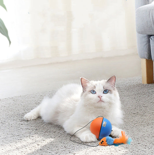 KFX-2062269 Interactive Cat Toy Ball for Intelligent Play and Dental Care - 84.5mm, Plastic, 120g
