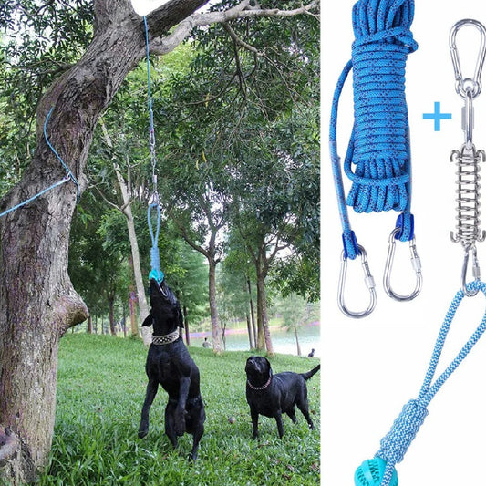 KFX-2065085 Stainless Steel Spring Suspension Toy with Cotton String for Outdoor Dog Training