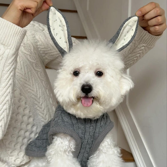 KFX-2105917 Heather Gray Wool Pet Cape and Shawl for Dogs and Cats, Available in S, M, L, XL