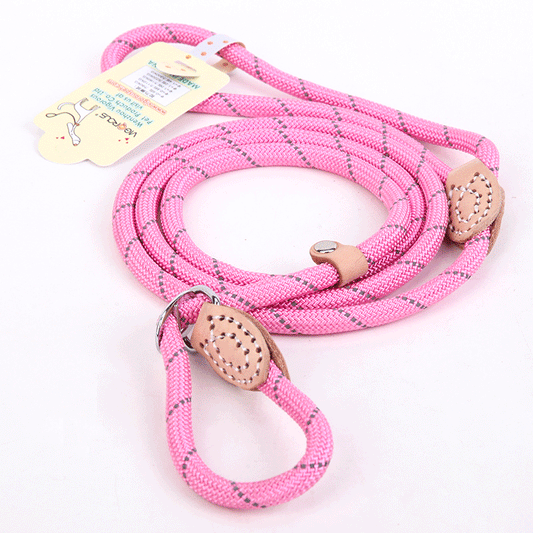 KFX-2107709 Reflective Nylon Leash for Hyenas - Durable and Safe Design