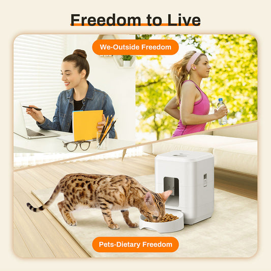 KFX-2123197 2L WiFi Pet Feeder for Dogs and Cats with Timer - White and Black Options