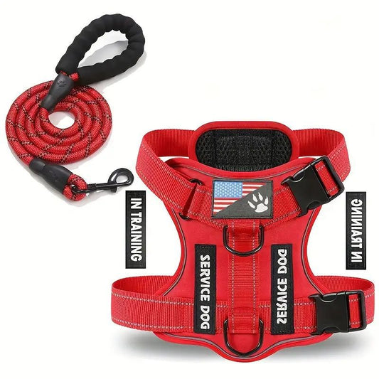 KFX-2132541 Durable Nylon Dog Leash with Chest Strap in Multiple Colors