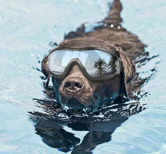 KFX-2159549 Waterproof UV Protecting Dog Goggles for Large Dogs - Black PVC Frame and PC Lens