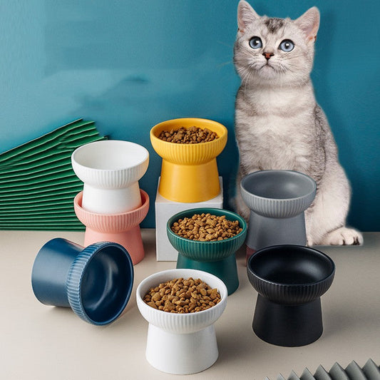 KFX-2169661 High Foot Ceramic Cat Bowl - 300ml Capacity for Food and Water