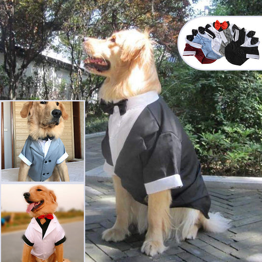 KFX-2171837 Big Dog Dress with Bow Tie - Stylish Cotton Puppy Suit in Black, Gray, Sky Blue, and Red Brown Sizes XS to XL