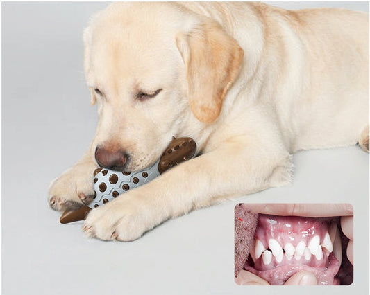 KFX-2195517 Dog Chew Toy with Molar Teeth Cleaning Features - Durable Plastic, Assorted Colors