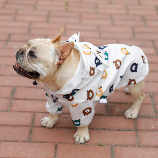 KFX-2197053 Waterproof Puppy Raincoat - Cute Bear and Cat Designs, Multiple Sizes Available