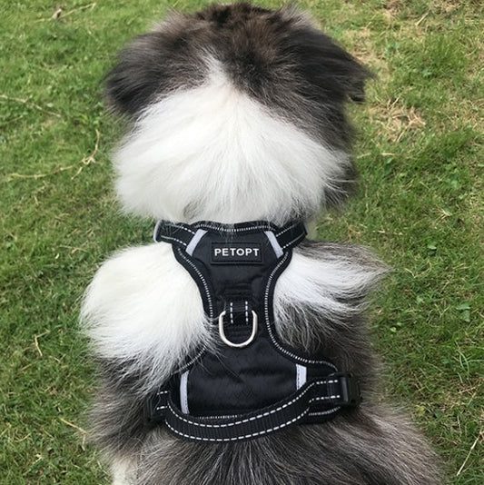 KFX-2199741 Dog Vest Rope for Medium and Large Dogs, Made of Durable Polyester Fiber