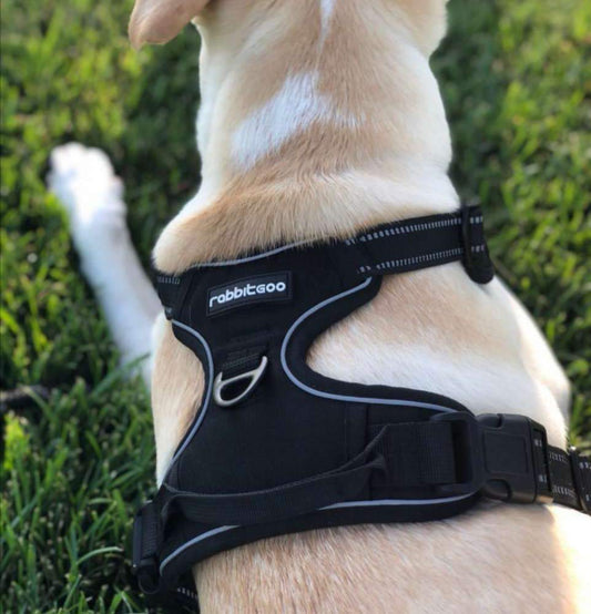 KFX-2199741 Dog Vest Rope for Medium and Large Dogs, Made of Durable Polyester Fiber