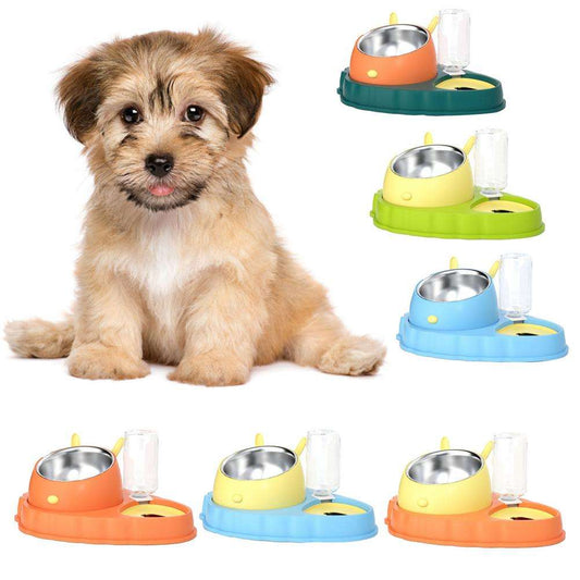 KFX-2202429 Double Bowl Stainless Steel Pet Feeding Dish with Non-Slip Base and Tilted Carrot Design