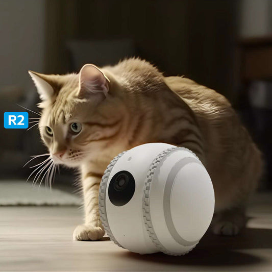 KFX-2224317 White Cat Toy Robot with Automatic Recharge Feature for Pet Monitoring