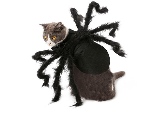 KFX-2227645 Pet Spider Costume for Dogs and Cats - Feather Dress-Up Accessory for Halloween and Parties