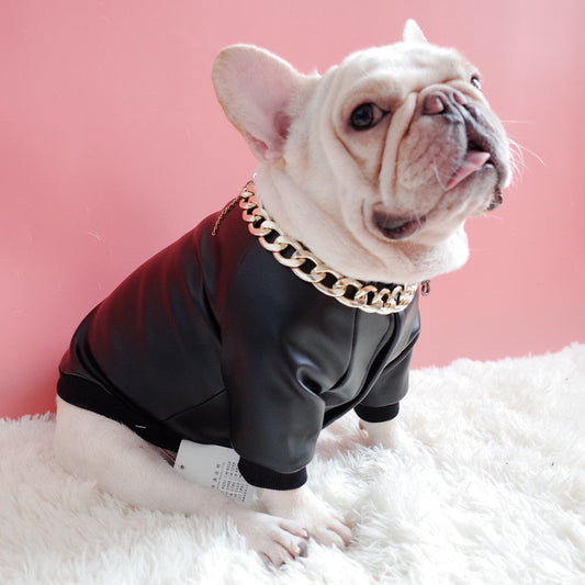 KFX-2275901 Velvet Zipper Stretch PU Leather Dog Clothes for Schnauzers - Black, Two-Legged Design
