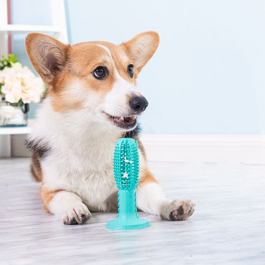KFX-2278333 Durable Dog Toothbrush and Molar Cleaning Stick with Suction Cup for Tartar Removal and Interactive Play