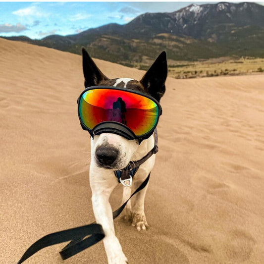 KFX-2290621 Dog Skiing Goggles - PC Material, Sizes S to L, Perfect for Outdoor Adventures