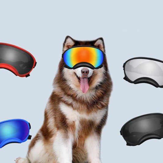KFX-2323389 Stylish Protective Sunglasses for Medium to Large Dogs and Cats