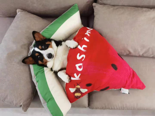 KFX-2348861 Cozy Pizza Pet Sleeping Bag for Cats and Dogs - Four Seasons - 90cm x 80cm