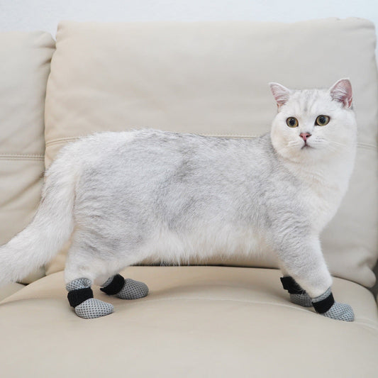 KFX-2362173 Soft and Warm Anti-Scratch Pet Foot Covers for Cats - Available in Multiple Colors and Sizes