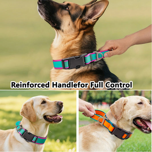 KFX-2364093 Stylish Tactical Dog Collar for Working Dogs – Waterproof, Wear-Resistant, and Odor-Proof Design