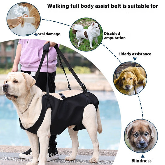 KFX-2380861 Oxford Cloth Dog Travel Auxiliary Strap - Durable Pet Chain Ring in Black