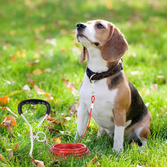 KFX-2423869 Double Hook Wire Rope Dog Leash in Various Colors and Durable Materials