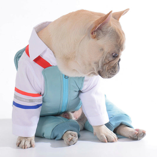 KFX-2459197 Teddy Dog Cotton Strap Pants in Bean Green, Grey, and Blue for All Sizes