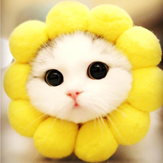 KFX-2465981 Cute Cat Headgear with Ear Holes – Warm Soft Decorative Hat for Kittens and Adult Cats